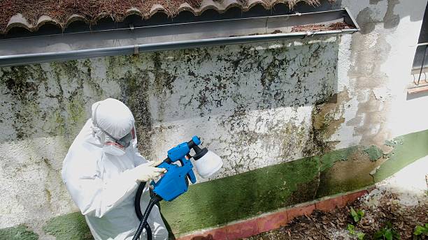 Trusted Mold Inspection service in Newport, KY - Cheap Mold Removal
